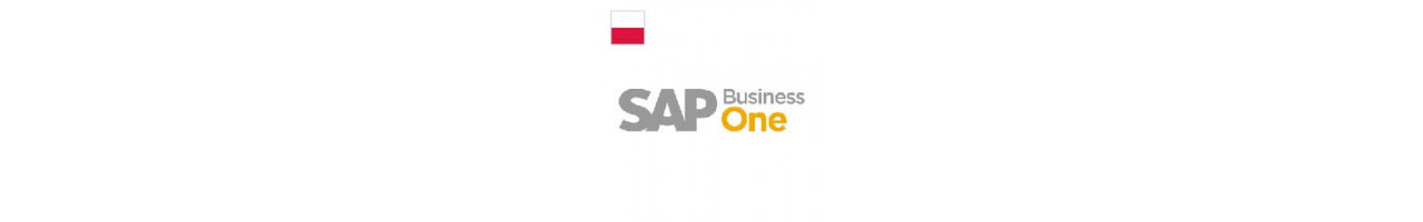 SAP BUSINESS ONE